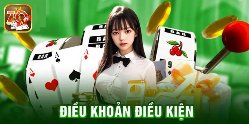 Tổng hợp điều khoản điều kiện chi tiết